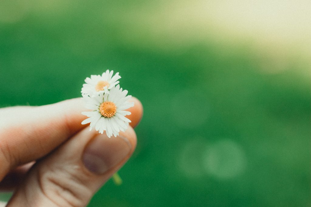 Tag 51 - Tschüss Sommer! Herzlich Willkommen Herbst! // „Der Herbst ist der Frühling des Winters.“ ―Henri de Toulouse-Lautrec