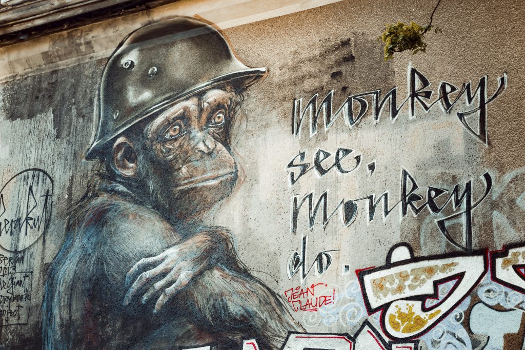 Tag 75 - BLN Monkey // Monkey see, monkey do.