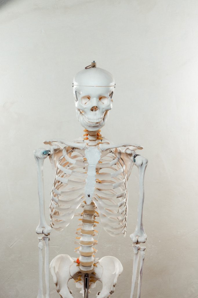 Tag 80 - Homo sapiens // Unser Leben ist das Produkt unserer Gedanken!