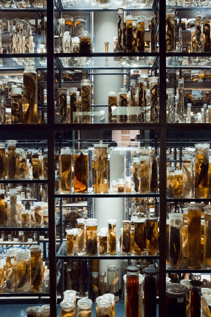 Tag 97 - Biodiversität //  „Die Biodiversität repräsentiert den Reichtum des Lebens auf genetischer, organismischer und ökosystemarer Ebene und umfasst somit die verschiedenen Gene, Arten und Ökosysteme und ihre relativen Häufigkeiten" - Wilson(1988) #brillski365 #tag97 #berlin #berlin4you #herbst #natur #nature #biodiversity #gelb #yellow #berlincity #urban #lichtistallespresets #photography #igers #igersberlin #ig_berlincity #ig_berlin #igersgermany #dirkbrillski #photooftheday #365project #diewocheaufinstagram #fujifilm #fuji #fujix100t #x100t #ig_germany #vsco #ig_photooftheday #instagood