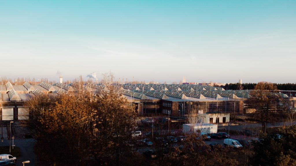 Tag 138 - BLN Betriebswerk SW // "Geniale Menschen beginnen große Werke, fleißige vollenden sie." - Leonardo da Vinci