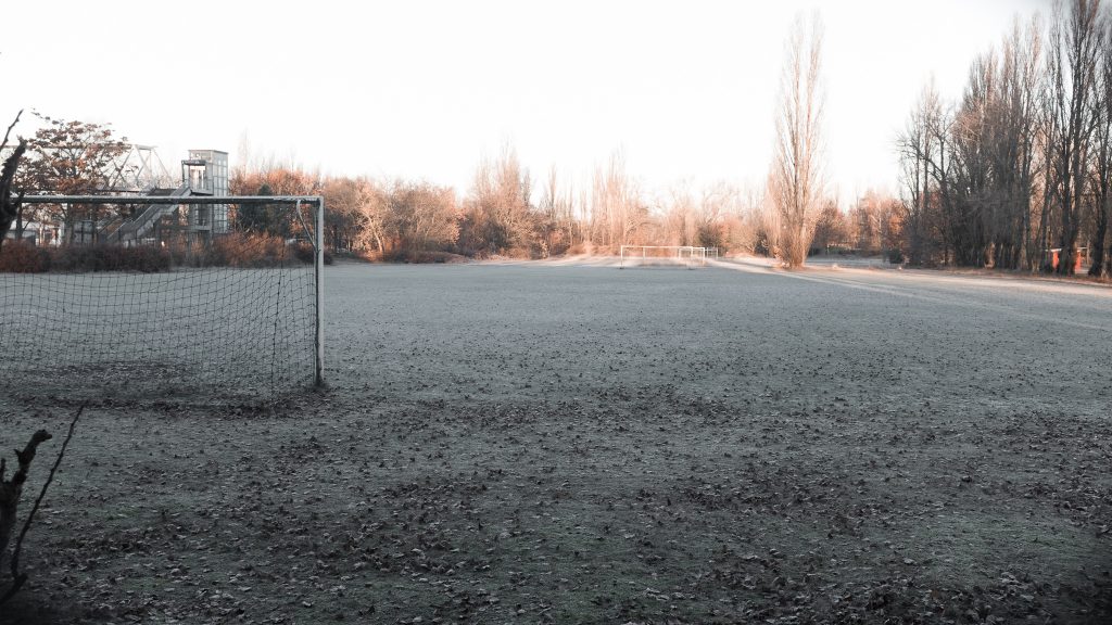 Tag 139 - Spieltag // "Erfolg ist kein Zufall. Es ist harte Arbeit, Ausdauer, Lernen, Studieren, Aufopferung, jedoch vor allem, Liebe zu dem, was du tust oder dabei bist zu lernen." - Pele 