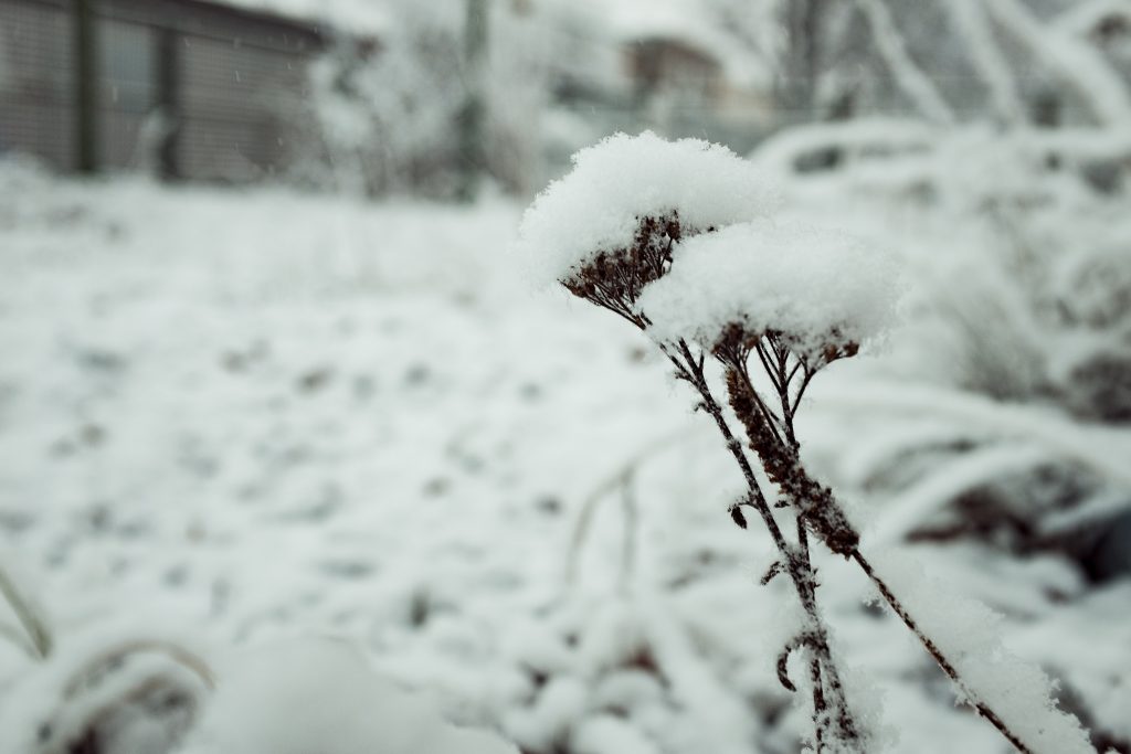 Tag 162 - Stärke // "Was mich nicht umbringt, macht mich stärker." - Friedrich Nietzsche