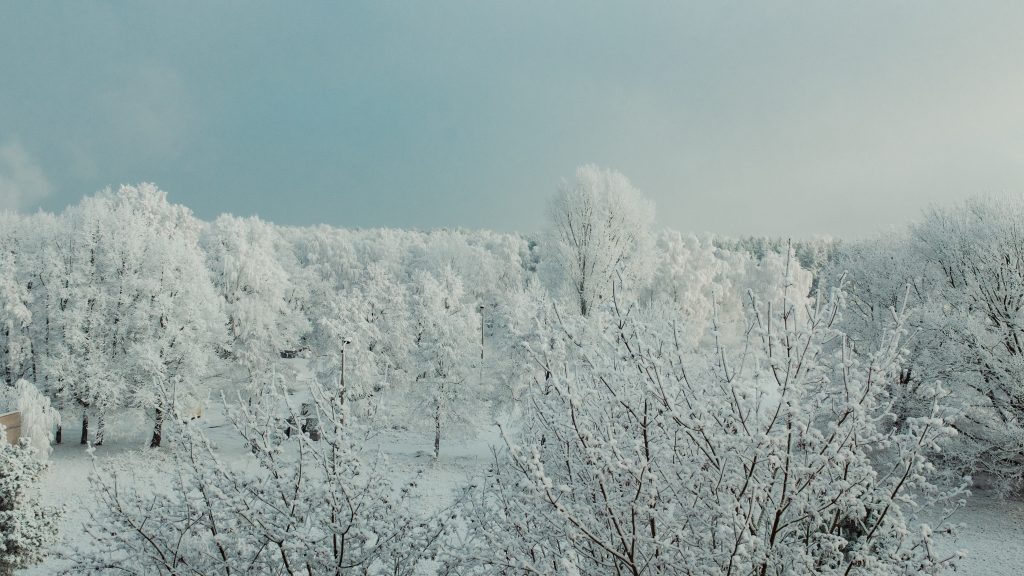 Tag 158 - Schnee // „Sonnenschein ist köstlich, Regen erfrischt, Wind kräftigt, Schnee erheitert. Es gibt kein schlechtes Wetter, es gibt nur verschiedene Arten von gutem.“ - John Ruskin