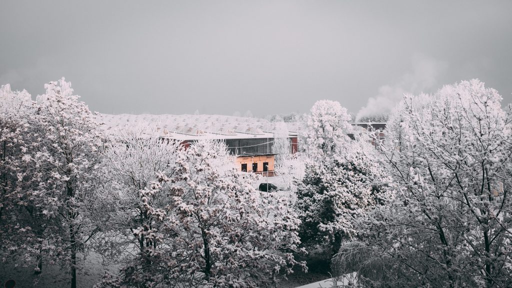 Tag 184 - Werk Schöneweide // „Die Ziellinie ist nur der Startschuss für eine neue Herausforderung." - Unbekannt