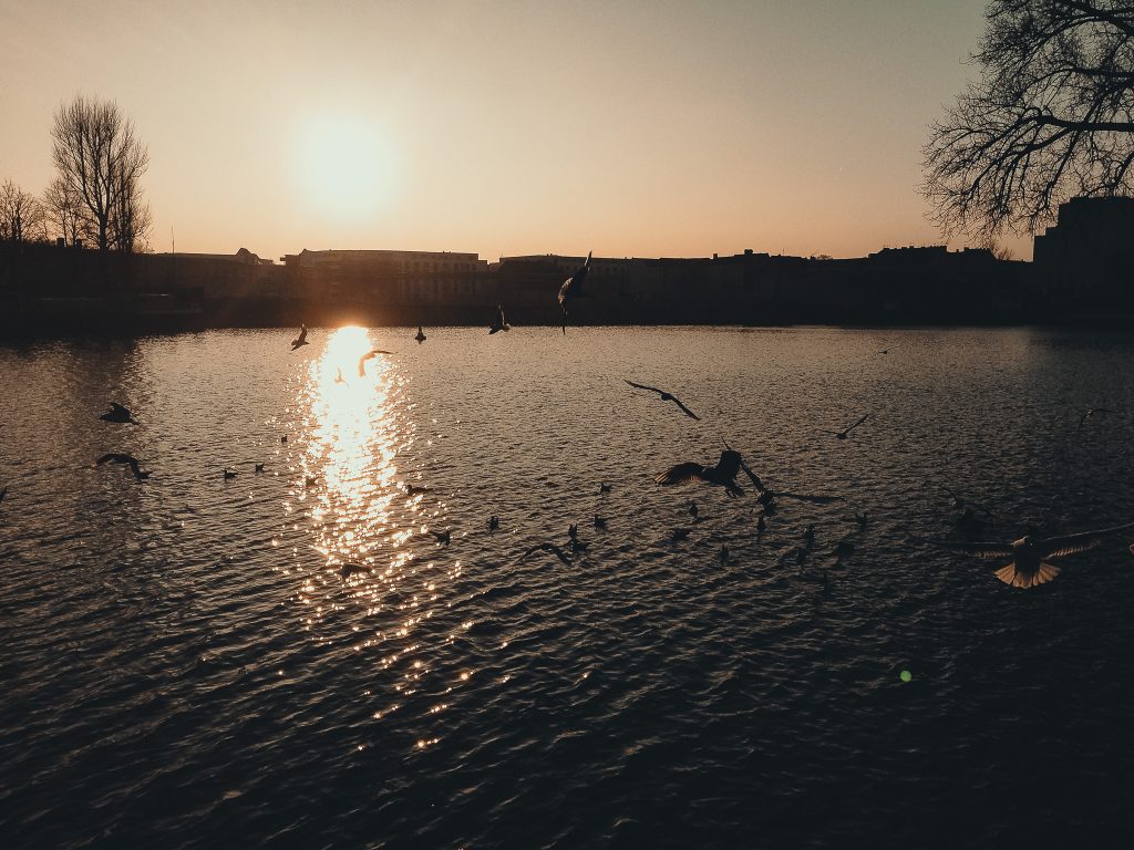 Tag 181 - Spree // "Ich fühle mich hier ein bisschen wie in Südfrankreich. Ich habe immer das Gefühl, ich müsste gleich an den Strand gehen." Herbert Grönemeyer