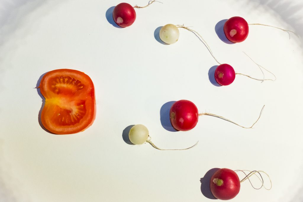 Tag 206 - Fortpflanzung // "Die Begattung und Fortpflanzung kostet dem Schmetterlinge das Leben, dem Menschen die Schönheit, und hier liegt einer der größten Vorteile der Kunst, daß sie dasjenige dichterisch bilden darf, was der Natur unmöglich ist, wirklich aufzustellen. So wie die Kunst Kentauren erschafft, so kann sie uns auch jungfräuliche Mütter vorlügen; ja es ist ihre Pflicht." - Johann Wolfgang von Goethe