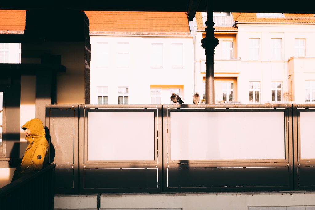 Tag 194 - Die zwei Tauben // Zu dem Adler sprach die Taube: Wo das Denken aufhört, da beginnt der Glaube; Recht, sprach jener, mit dem Unterschied jedoch, wo du glaubst, da denk' ich noch." - Ludwig Robert #brillski365 #tag194 #taube #man #pigeons #nature #natur #travel #motivation #quote #photography #igers #igersgermany #ig_berlincity #ig_worldclub #dirkbrillski #photooftheday #365project #diewocheaufinstagram #fujifilm #fujix100t #x100t #ig_germany  #ig_photooftheday #instagood #trees #agameoftones #thelensbible #sunlight #winter #instamood #light #urban #urbanandstreet #streetphotography